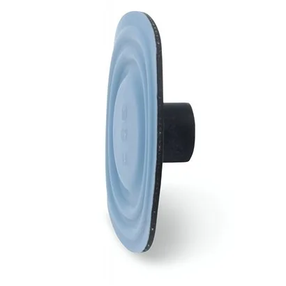 30917 diafragma de 0.9 FLUOROFILM uso en series P 151 | 30917 | Milton Roy